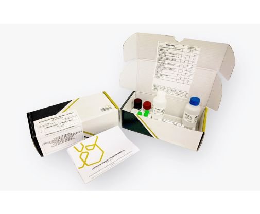 SENSISpec Gluten Detection ELISA Kits